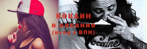 стафф Медногорск