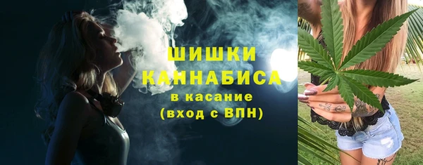 сатива Мегион