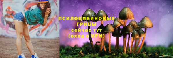 эйфоретик Мурманск