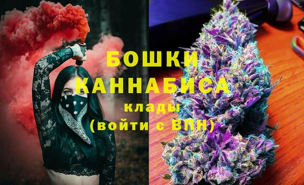 сатива Мегион