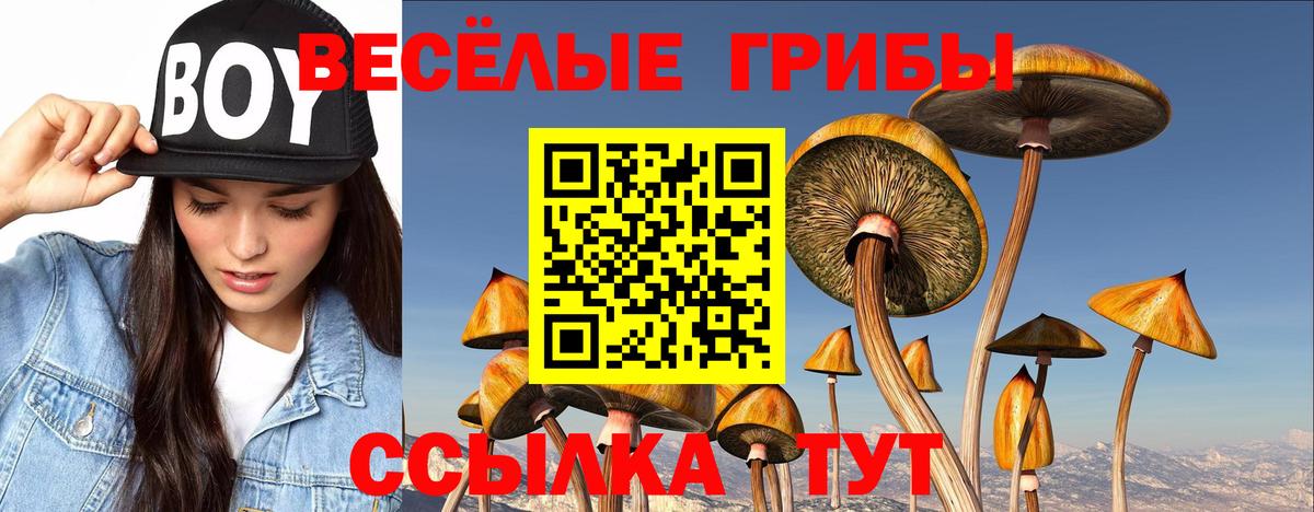 Галлюциногенные грибы Cubensis Алапаевск