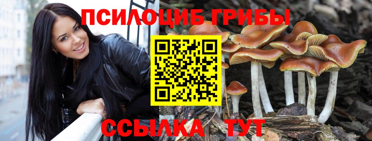 Галлюциногенные грибы GOLDEN TEACHER  Вход с VPN  Алапаевск 