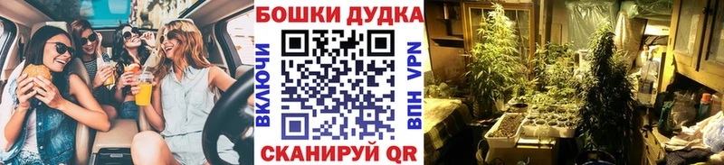 Бошки Шишки семена  Алапаевск 